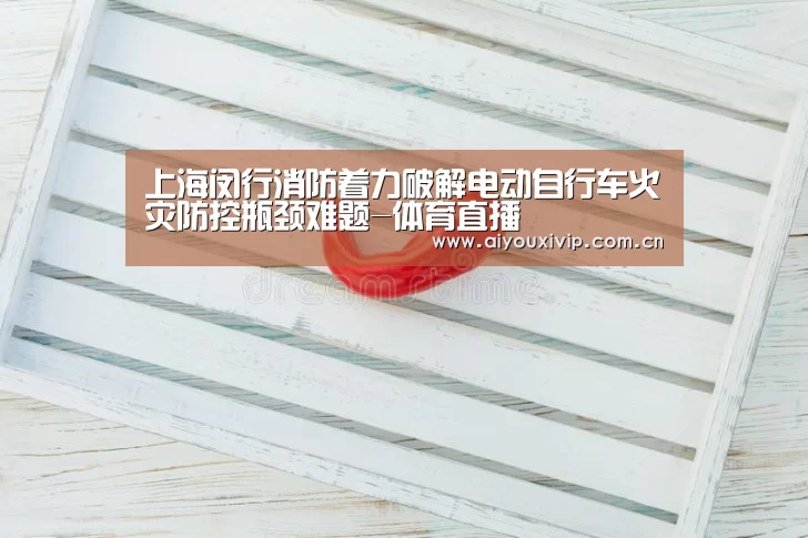 上海闵行消防着力破解电动自行车火灾防控瓶颈难题-体育直播(图1) 爱游戏娱乐