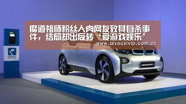 爱游戏体育