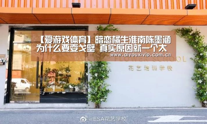 爱游戏体育全站