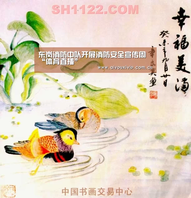 爱游戏体育全站