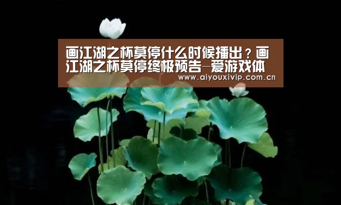 体育直播