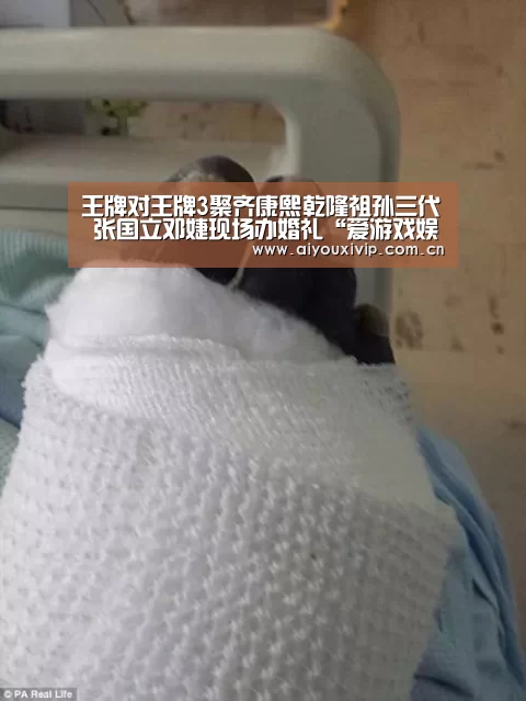 王牌对王牌3聚齐康熙乾隆祖孙三代 张国立邓婕现场办婚礼“爱游戏娱乐”(图1) 爱游戏体育全站