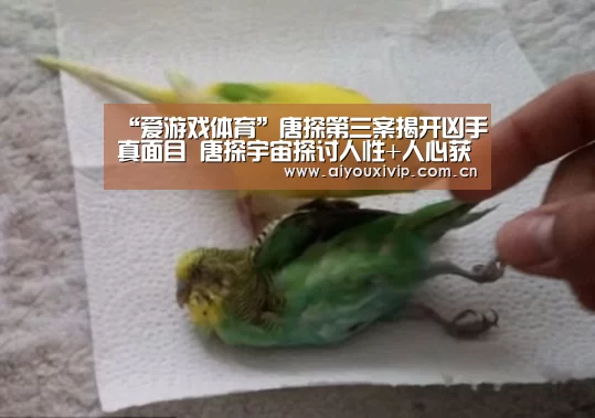 “爱游戏体育”唐探第三案揭开凶手真面目 唐探宇宙探讨人性+人心获高赞(图3) 爱游戏体育