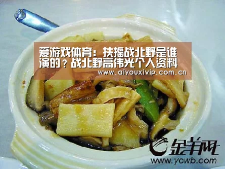 爱游戏体育:扶摇战北野是谁演的?战北野高伟光个人资料介绍(图2) 爱游戏体育