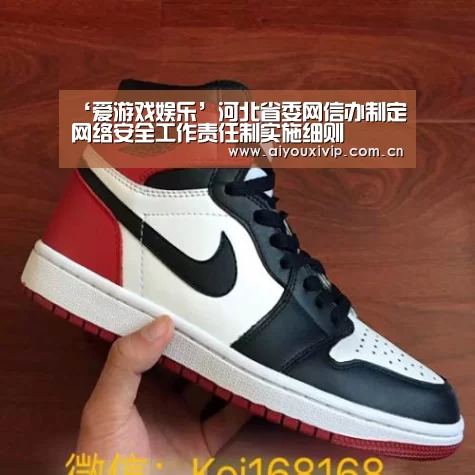 ‘爱游戏娱乐’河北省委网信办制定网络安全工作责任制实施细则(图2) 爱游戏娱乐
